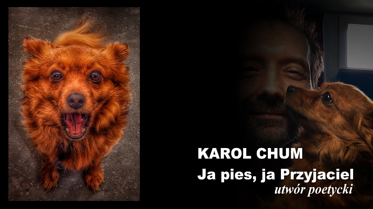 🔖Karol Chum: Ja pies, ja Przyjaciel /488/ 📵