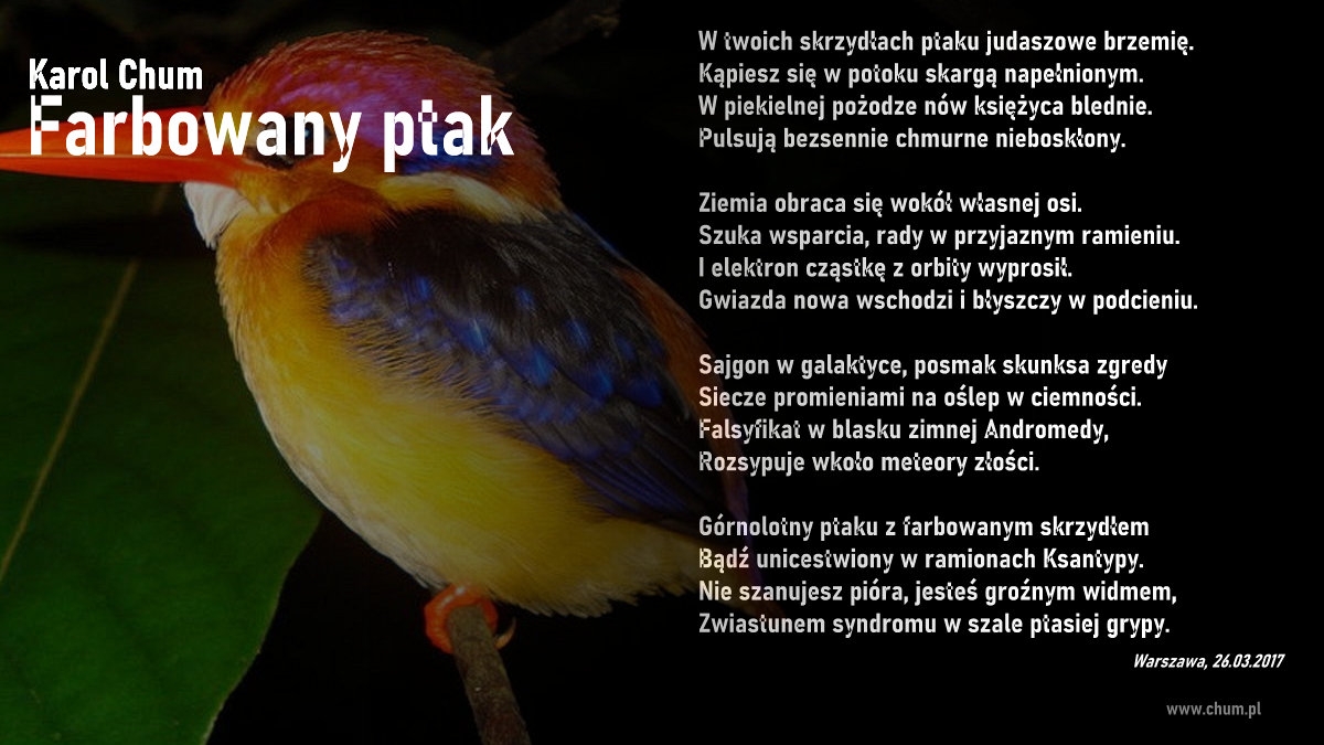 🔖Karol Chum: Farbowany ptak /287/