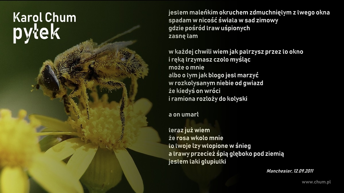 🔖Karol Chum: pyłek /124/